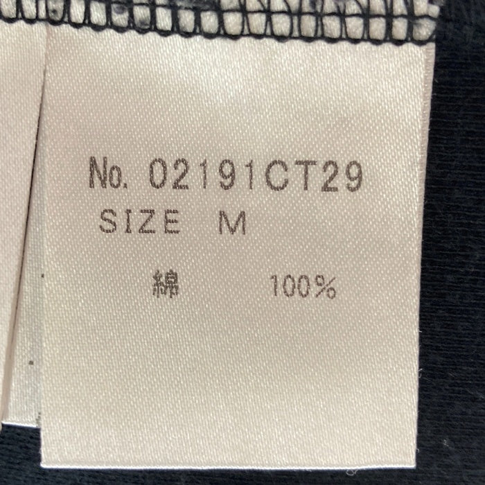 HYSTERIC GLAMOUR ヒステリックグラマー 02191CT29 ガールプリント Tシャツ ブラック sizeM 瑞穂店