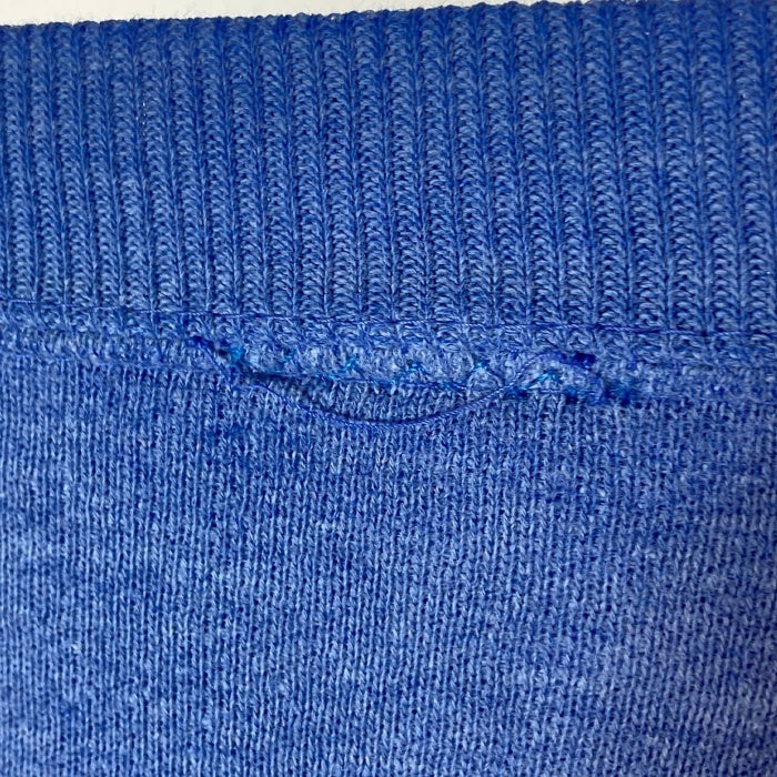 Champion チャンピオン 青刺繡タグ USA製 刺繡ロゴ スウェットトレーナー ライトブルー sizeL 瑞穂店