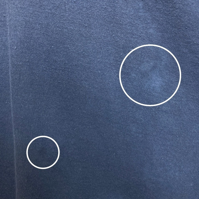 Hanes ヘインズ 00's ヘビーウェイト 企業ロゴ スウェットトレーナー ネイビー sizeXL 瑞穂店