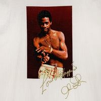 SUPREME シュプリーム 22ss Al Green Tee アルグリーン Tシャツ フォトプリント ホワイト Size M 福生店