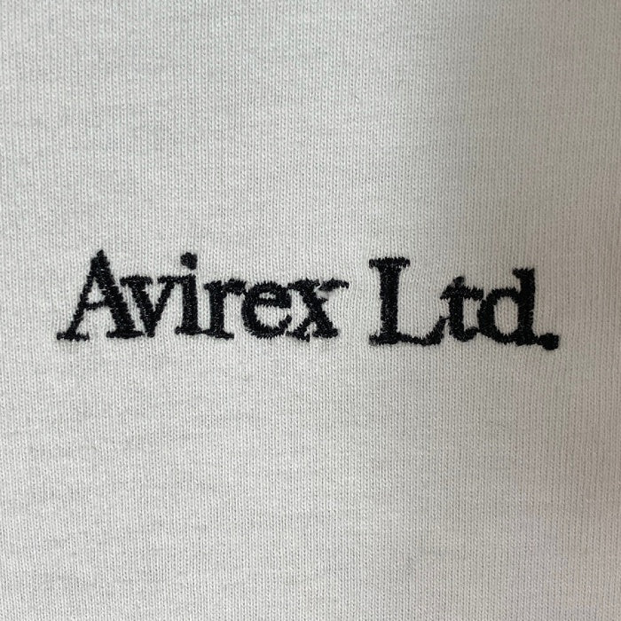 AVIREX アヴィレックス FLYOVER HIGH BOMB BURST バックプリント Tシャツ ブルーグレー sizeL 瑞穂店