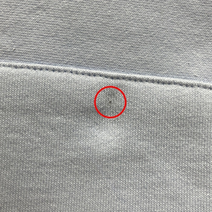 LFYT エルエフワイティー Rose Logo US Cotton Hooded Sweatshirt プルオーバースウェットパーカー ライトブルー LE220501 Size L 瑞穂店