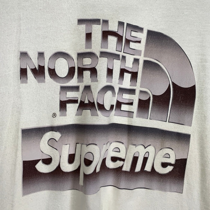SUPREME シュプリーム 18SS THE NORTH FACE ノースフェイス Metallic Logo Tee メタリックロゴTシャツ ホワイト 並行品 Size L 福生店