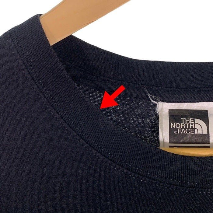 SUPREME シュプリーム 18AW THE NORTH FACE ノースフェイス Expedition S/S Tee エクスペディションショートスリーブTシャツ プリント ブラック NT81802I Size S 福生店