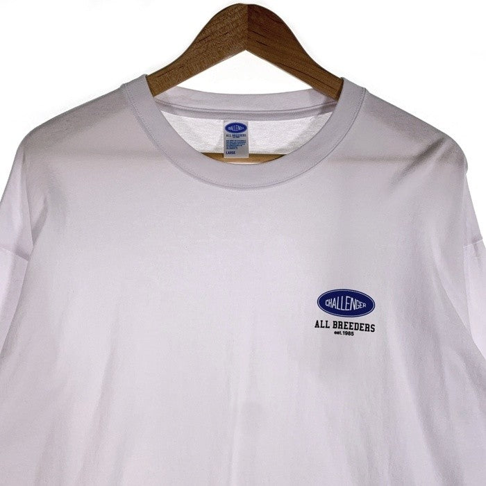 CHALLENGER チャレンジャー 15th ART L/S TEE 15周年 店舗限定 ロンT ロングスリーブ 長袖 Tシャツ ホワイト CLG-TS 024-039 SIze L 福生店