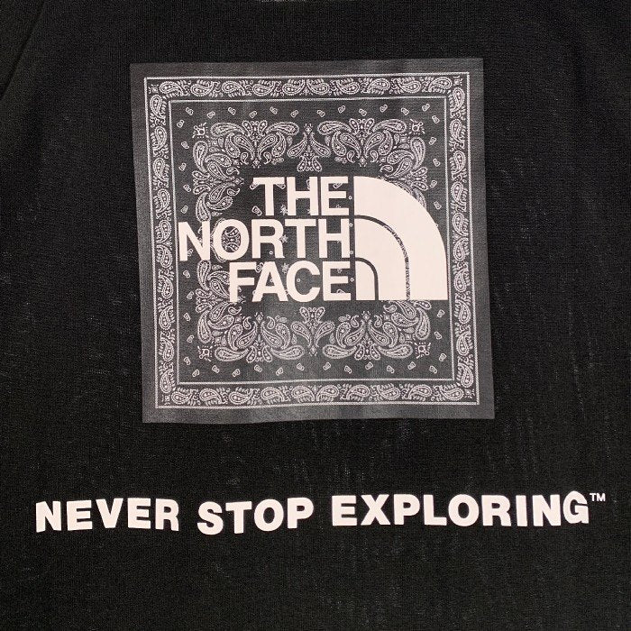 THE NORTH FACE ノースフェイス Bandana Square Logo Tee バンダナスクエアロゴ Tシャツ ブラック NT32108 Size L 福生店