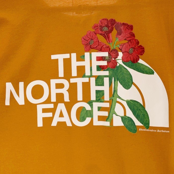 THE NORTH FACE ノースフェイス バックプリント Tシャツ オレンジ US規格 Size S 福生店