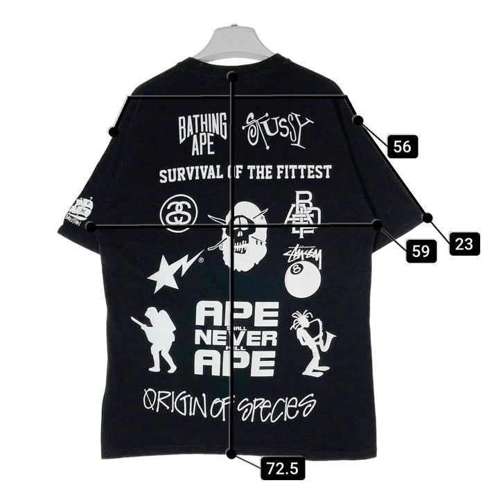 STUSSY30周年記念A・BATHING APE コラボTシャツ A BATHING APE アベイシングエイプ STUSSY ステューシー 30周年