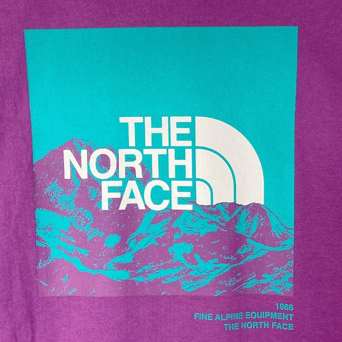 THE NORTH FACE ザノースフェイス NT32438 L/S Sleeve Graphic Tee パープル sizeL 瑞穂店