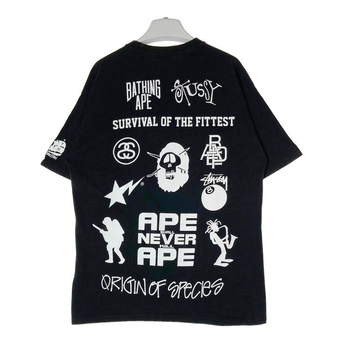 A BATHING APE アベイシングエイプ STUSSY ステューシー 30周年記念 マルチアイコン Tシャツ ブラック sizeL 瑞穂店