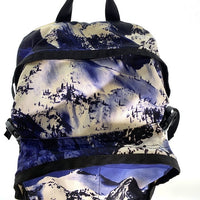 SUPREME シュプリーム THE NORTH FACE ノースフェイス 17AW Mountain Expedition Backpack マウンテン エクスペディション バックパック 雪山 ブルー ホワイト ND91701I 福生店