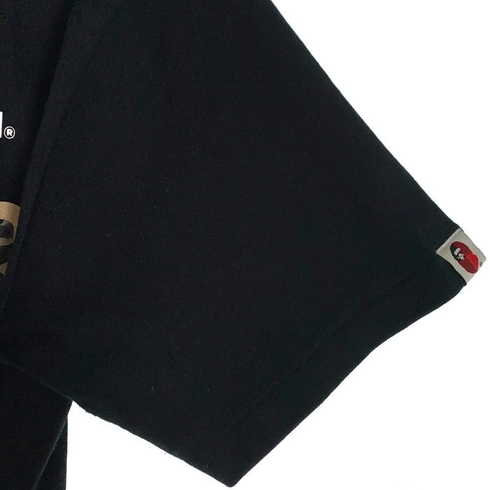 A BATHING APE アベイシングエイプ Woolrich ウールリッチ プリントTシャツ ブラック 001TEH731909C Size L 福生店