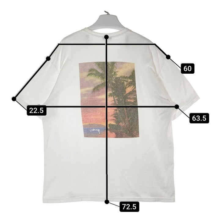 STUSSY ステューシー パームツリー バックフォトTシャツ ホワイト sizeXL※襟汚れあり★ 瑞穂店