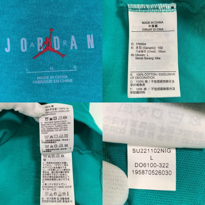 Jordan Brand ジョーダンブランド 22SS S M J AIR JDN TEE NEW EMERALD/SAIL エアジョーダン刺繡 Tシャツ ライトグリーン DO6100-322 Size L 福生店