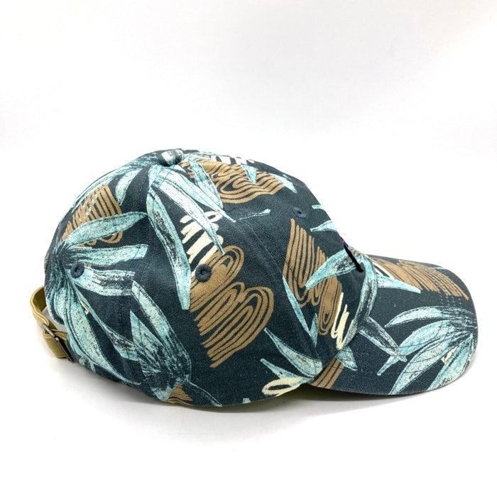 Patagonia パタゴニア 38296SP11 P-6 ラベル トラッド キャップ