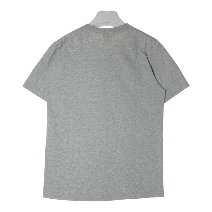 Supreme シュプリーム 15AW Child Of Hell Tee チャイルドオブヘル プリントTシャツ グレー sizeM 瑞穂店