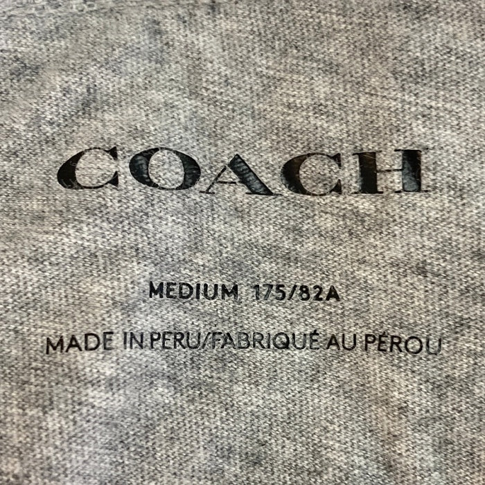 COACH コーチ C6377 スウェットパンツ Cロゴ刺繍 ボトムス グレー sizeM 瑞穂店