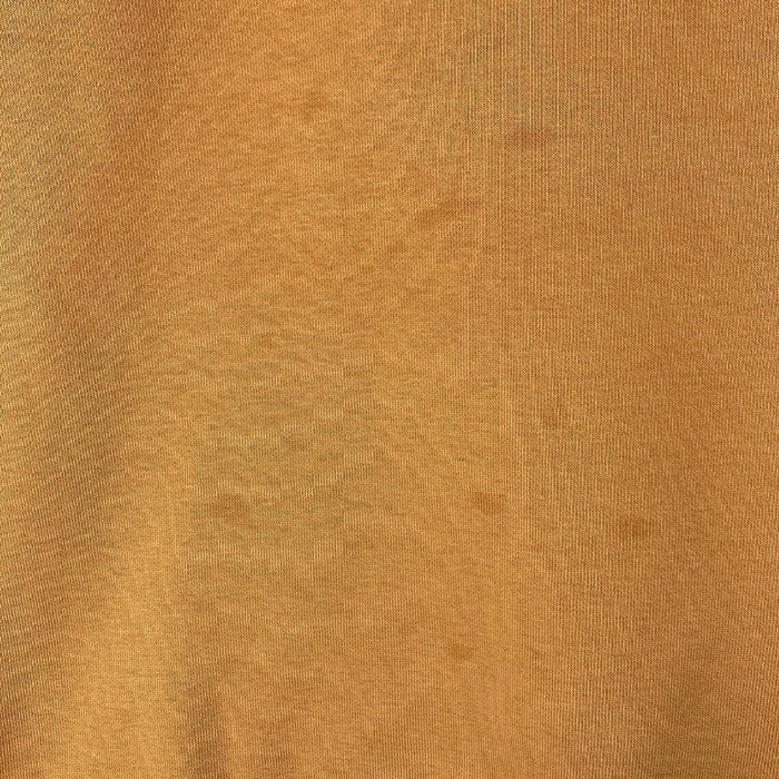 carhartt カーハート CHASE SWEAT チェイススウェット マスタード sizeM 瑞穂店
