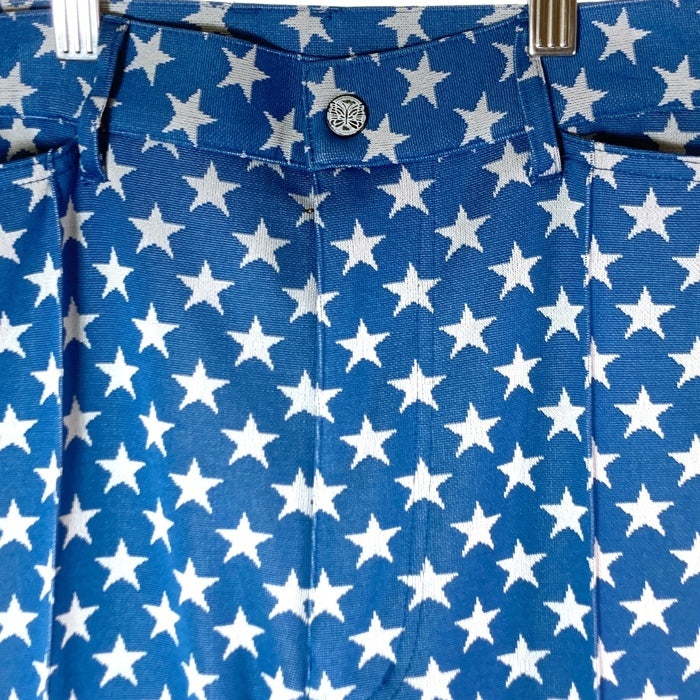 Needles ニードルス Jacquard Flair Pant ジャガード フレアパンツ 総柄 星 ブルー sizeM 瑞穂店