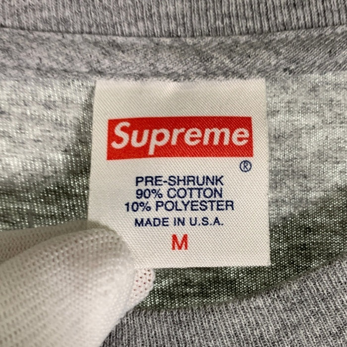 SUPREME シュプリーム 15SS World Famous Tee ワールドフェイマス プリントTシャツ グレー Size M 福生店