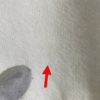 FRUIT OF THE LOOM フルーツオブザルーム プリント クルーネックスウェットトレーナー ホワイト 推定90-00's Size XL 相当 福生店
