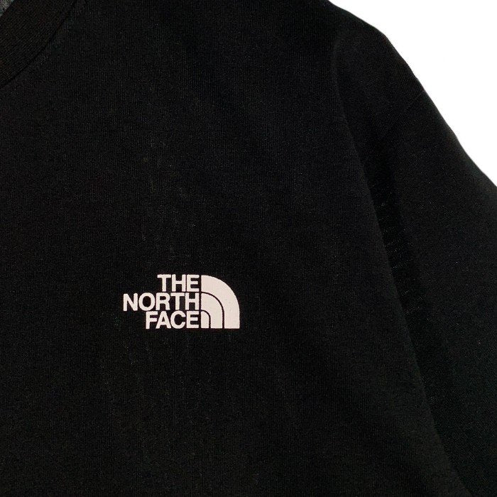THE NORTH FACE ノースフェイス Bandana Square Logo Tee バンダナスクエアロゴ Tシャツ ブラック NT32108 Size L 福生店