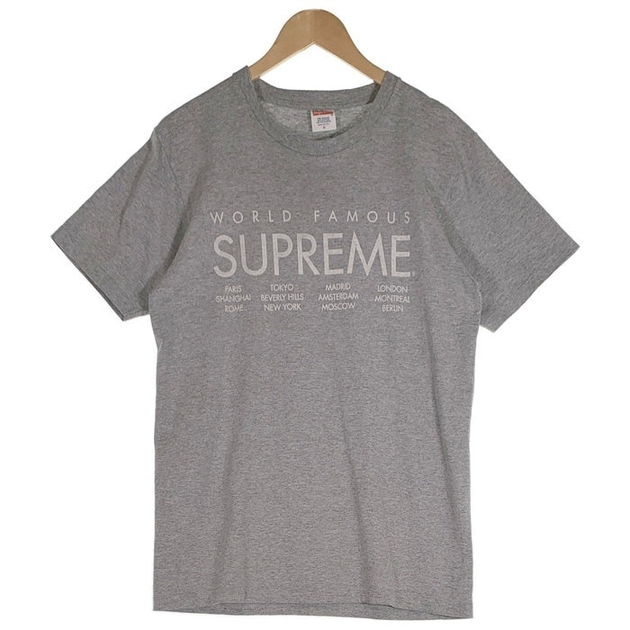 SUPREME シュプリーム 15SS World Famous Tee ワールドフェイマス プリントTシャツ グレー Size M 福生店