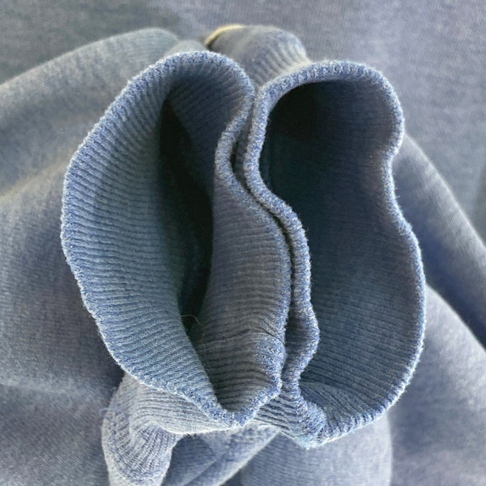 Champion チャンピオン 青刺繡タグ USA製 刺繡ロゴ スウェットトレーナー ライトブルー sizeL 瑞穂店
