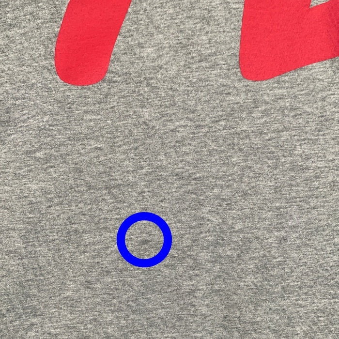 EVISU エヴィス カモメプリント ロングスリーブTシャツ ラグラン グレー Size 40 福生店