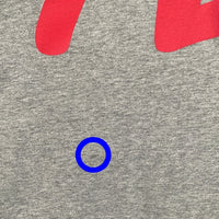 EVISU エヴィス カモメプリント ロングスリーブTシャツ ラグラン グレー Size 40 福生店