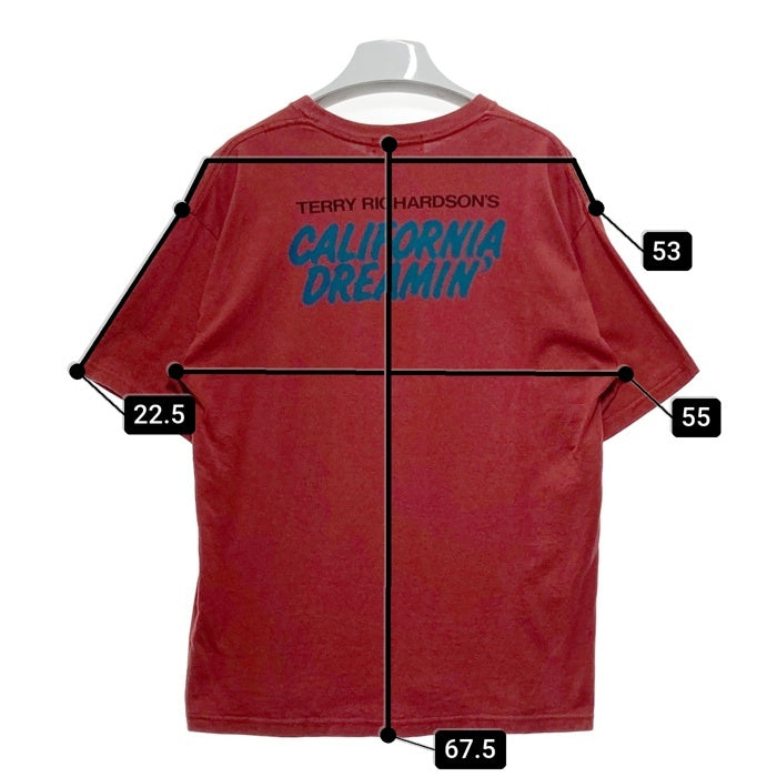 HYSTERIC GLAMOUR ヒステリックグラマー PLAY BOY プレイボーイ プリントTシャツ レッド 12171CT02 Size M 瑞穂店