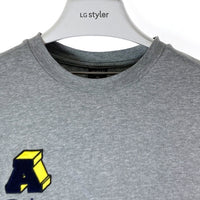 AVIREX アヴィレックス  パイルロゴ Tシャツ グレー sizeM 瑞穂店