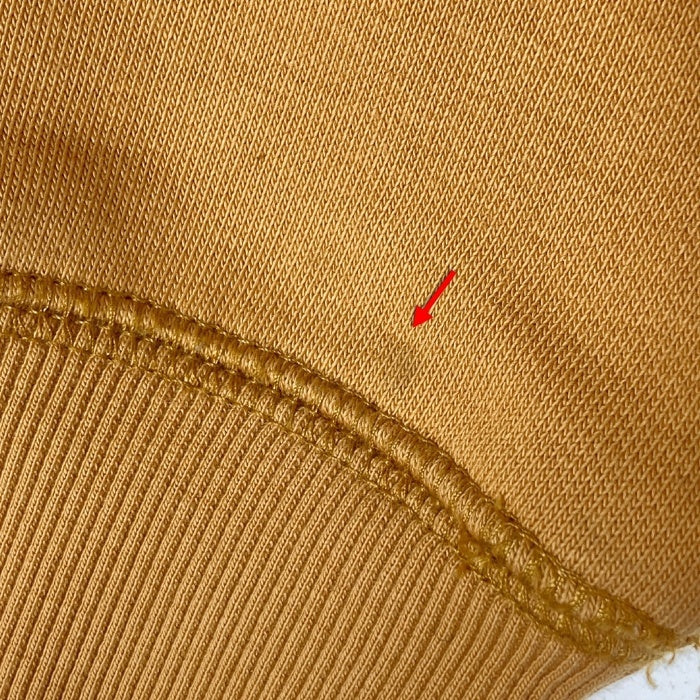 carhartt カーハート CHASE SWEAT チェイススウェット マスタード sizeM 瑞穂店