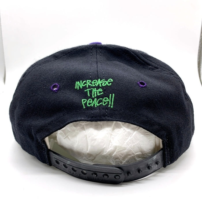 STUSSY ステューシー オールド 白タグ CAPZ TRIBE 刺繡 6パネル