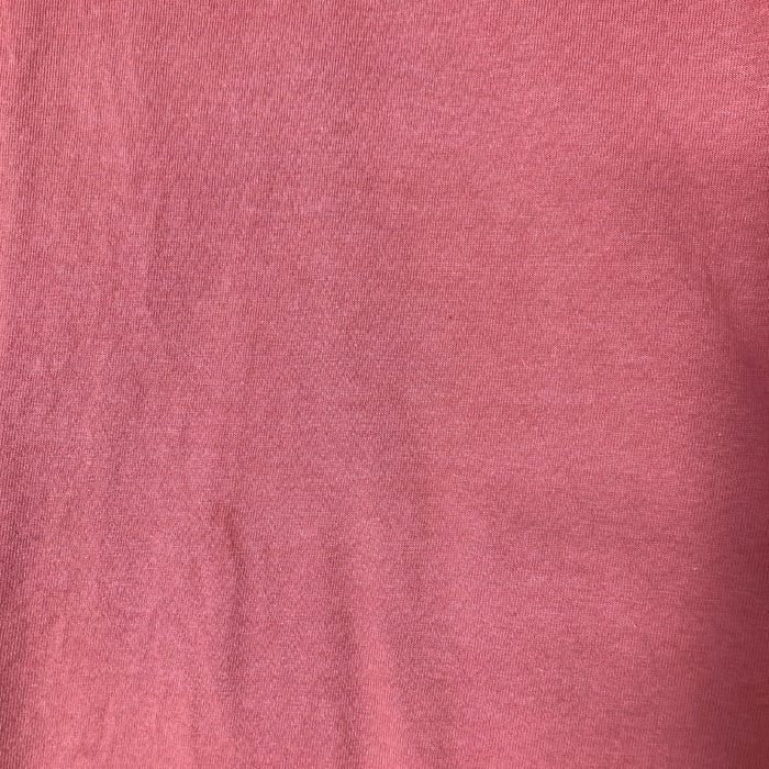 BUZZ RICKSON バズリクソン プリントTシャツ レッド sizeXL 瑞穂店