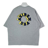 AVIREX アヴィレックス  パイルロゴ Tシャツ グレー sizeM 瑞穂店
