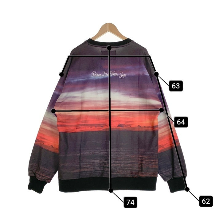 EXAMPLE エグザンプル 22SS DAY LIGHT CREWNECK デイライト クルーネックスウェットトレーナー マルチカラー Size XXL 福生店