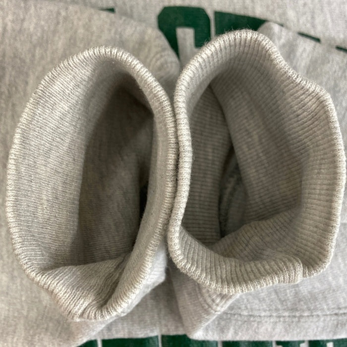 90's Champion チャンピオン WAYNE STATE UNIVERSITY リバースウィーブ スウェットトレーナー グレー USA製 トリコ刺繡 Size L 瑞穂店