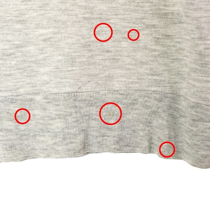 Champion チャンピオン 青刺繍タグ USA製 スウェットトレーナー グレー sizeM  瑞穂店
