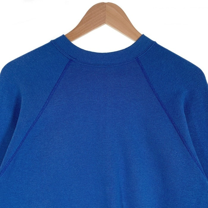 70's 80's ARTEX NHL ST. LOUIS BLUES セントルイス ブルース SNOOPY スヌーピー クルーネック スウェット ブルー USA製 Size L 福生店