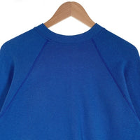 70's 80's ARTEX NHL ST. LOUIS BLUES セントルイス ブルース SNOOPY スヌーピー クルーネック スウェット ブルー USA製 Size L 福生店