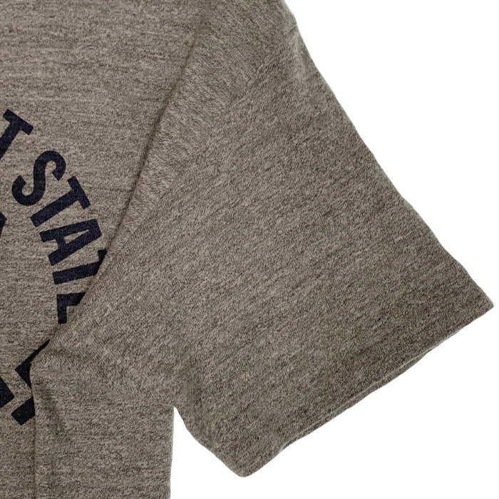 WAREHOUSE ウエアハウス STEVENS POINT STATE 染み込みプリント Tシャツ グレー Size M 福生店