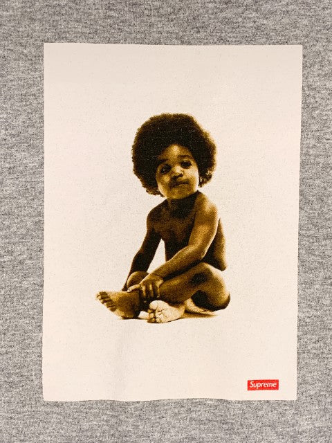 SUPREME シュプリーム 11AW Biggy Tee ビギー Tシャツ フォト グレー Size M 福生店