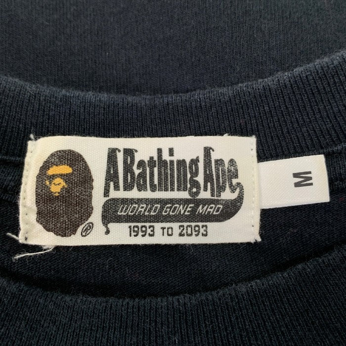 A BATHING APE アベイシングエイプ 2010 HELLO KITTY ハローキティ MILO マイロ Tシャツ ブラック Size M 福生店