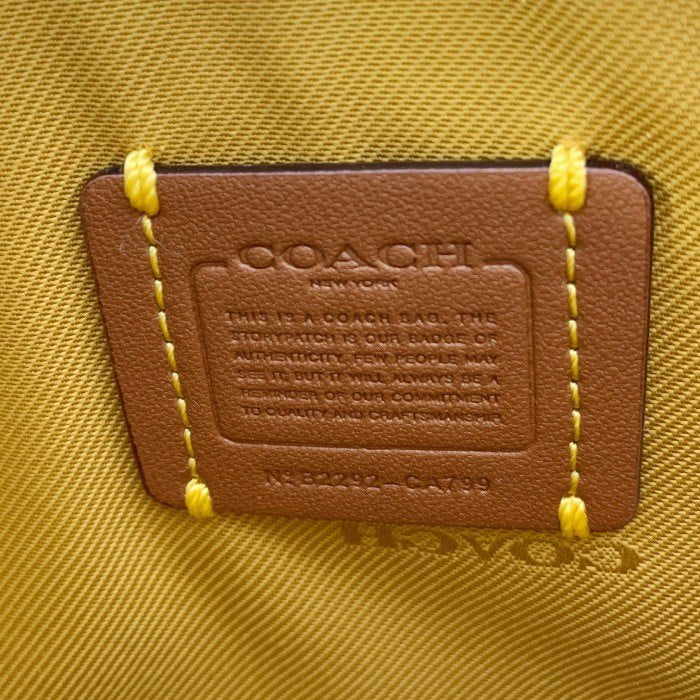 COACH コーチ ノア ポップアップ メッセンジャー ウィズ チェリー プリント ショルダーバッグ CA799 福生店