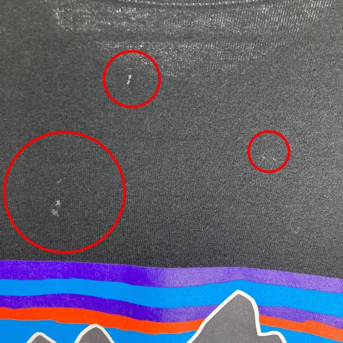 Patagonia パタゴニア 38518 P-6 レスポンシビリティー ロンT ブラック sizeM 瑞穂店