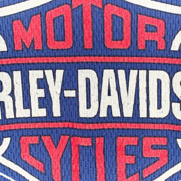 90's HARLEY DAVIDSON ハーレーダビッドソン HOLOUBEK ロゴプリント サーマルカットソー ブルー Size L 福生店