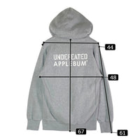 APPLEBUM × UNDEFEATED アップルバム × アンディフィーテッド ロゴパーカー グレー sizeM 瑞穂店