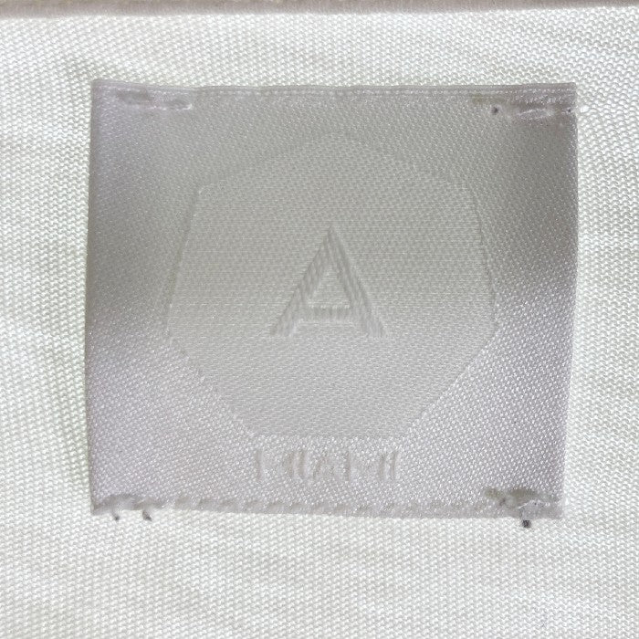 ALCHEMIST アルケミスト ダメージ加工 バックボーン プリントTシャツ 20AW AL-A20-0000-002 ホワイト sizeXL 瑞穂店