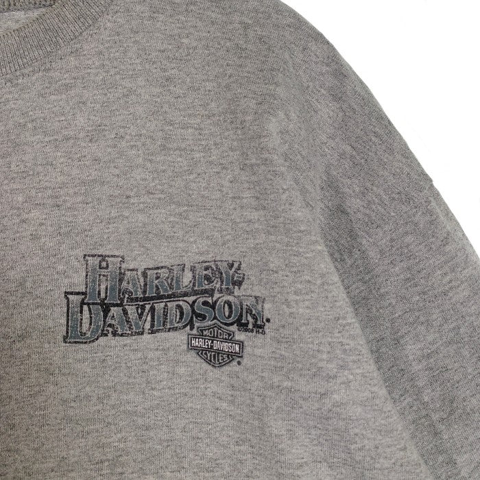 00's HARLEY-DAVIDSON ハーレーダビッドソン ヘンリーネック プリントTシャツ グレー 2004/2008コピーライト Size L 福生店